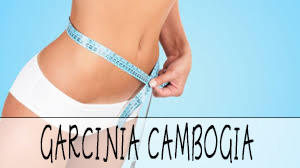 garcinia-cambogia-blue-waist-measurements